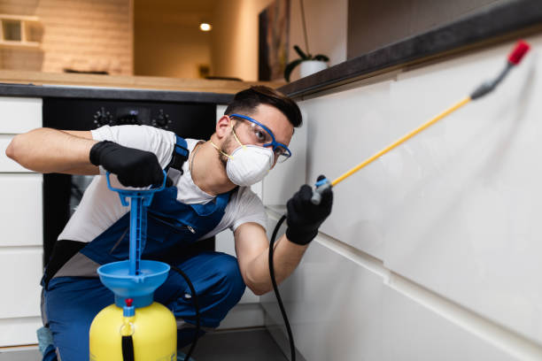 Best Wasp Removal Services  in Sussex, WI