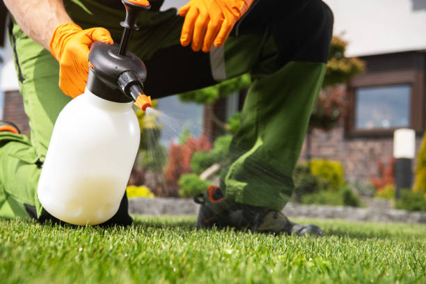 Best Residential Pest Control  in Sussex, WI