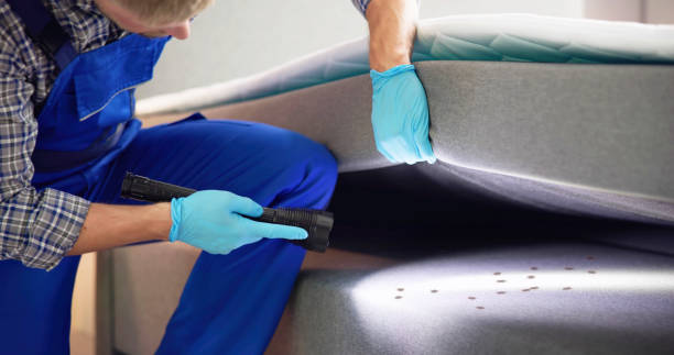 Best Termite Control Services  in Sussex, WI