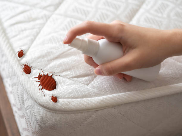 Best Cockroach Control Services  in Sussex, WI