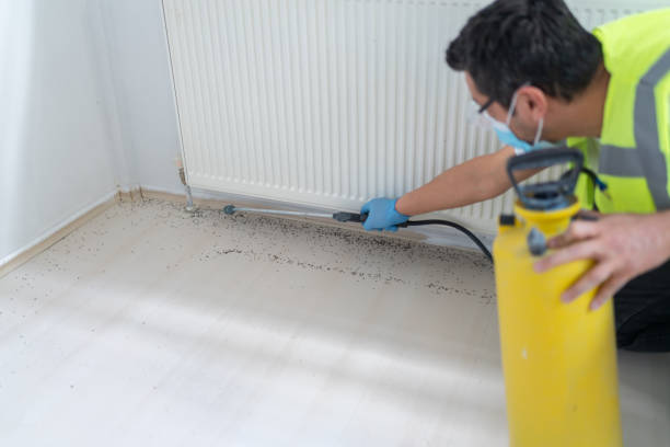Best Residential Pest Control  in Sussex, WI
